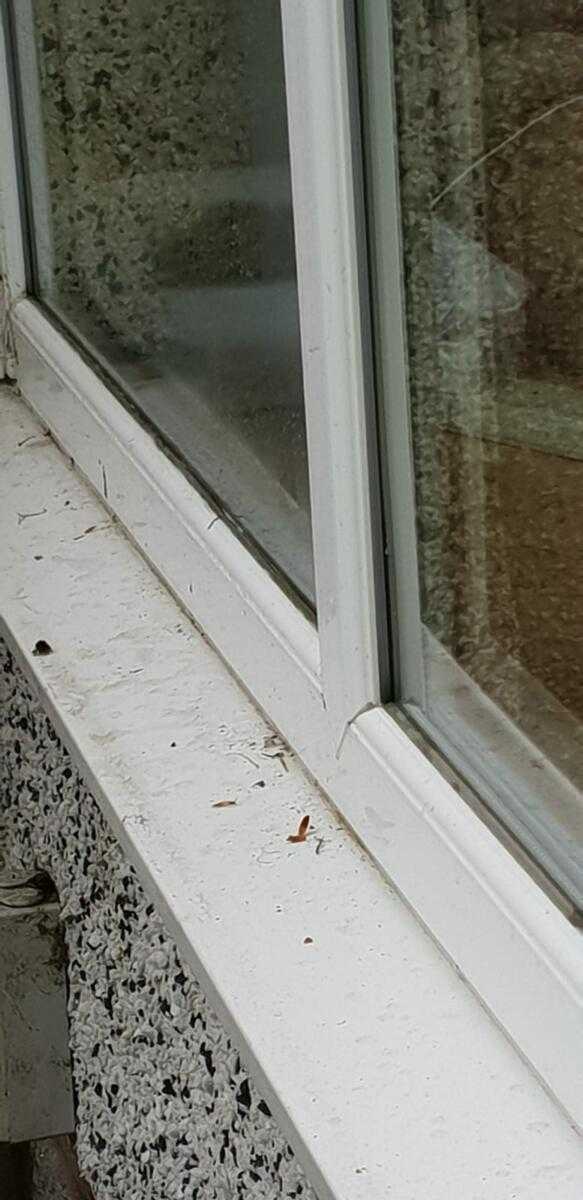 Dirty Window